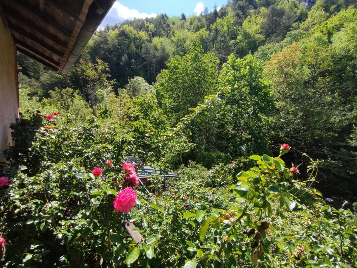 Moulin Vieux Bed & Breakfast La Bollène-Vésubie Dış mekan fotoğraf