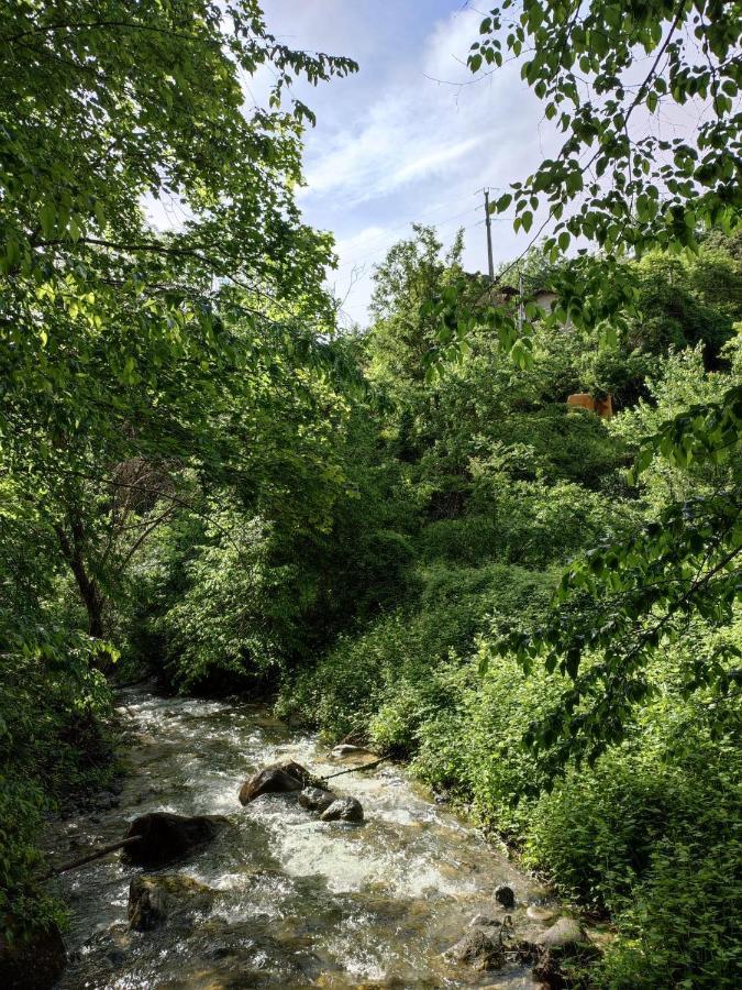 Moulin Vieux Bed & Breakfast La Bollène-Vésubie Dış mekan fotoğraf