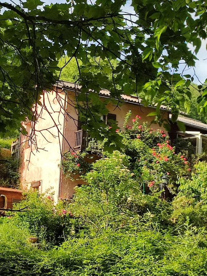 Moulin Vieux Bed & Breakfast La Bollène-Vésubie Dış mekan fotoğraf