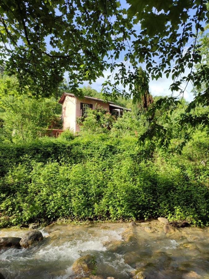 Moulin Vieux Bed & Breakfast La Bollène-Vésubie Dış mekan fotoğraf